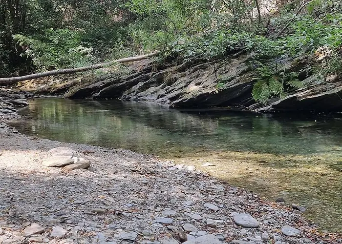 Domaine Du Moment Présent *